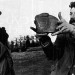 kitpostdig thumbnail